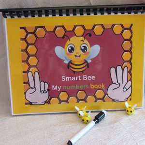 My Numbers Book